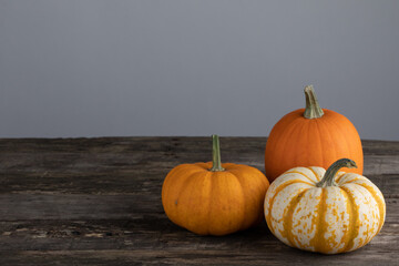 Sticker - Decorative Pumpkins on wood