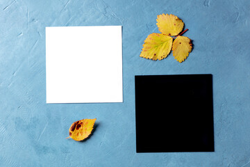 Poster - A mockup for two square cards, white and black, with copy space, shot from the top with autumn leaves