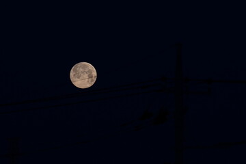 Wall Mural - full moon rising