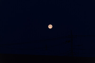 Wall Mural - full moon rising