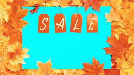 Wall Mural - Sale. four tags with word sale on red autumn leaves background frame. Fall foliage seasonal shopping discount offer 
advert banner with copy space on blue