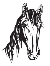 Abstract Portrait Of Line Monochrome Contour Horse