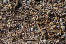 Small Plastic Garbage Among Many Small Multicolored Blue Pink Purple River Shells And Sticks Lies In The Sand On The Baltic Sea Coast, Pattern