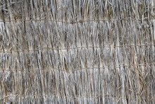 Texture Background Wall Dry Palm Leaves Or Straw.