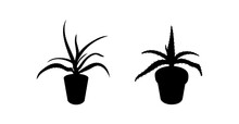 Cactus - Aloe - Succulent In Flowerpot Black Silhouette