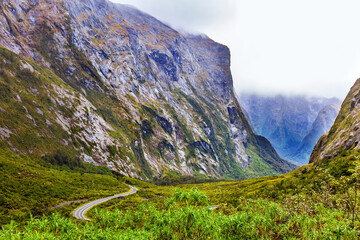 Canvas Print -  Road to Milford Sound