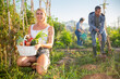 © JackF - Satisfied young woman engaged in cultivation of organic vegetables in her small garden showing good harvest