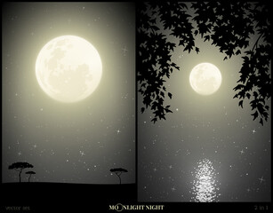 Sticker - Landscape with lake framed by branches on moonlight night. Mysterious vertical background with savannah trees. Full moon in starry sky. Black and white vector illustration set for design, decor