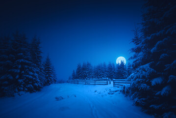 Wall Mural - Full moon rising above the winter forest