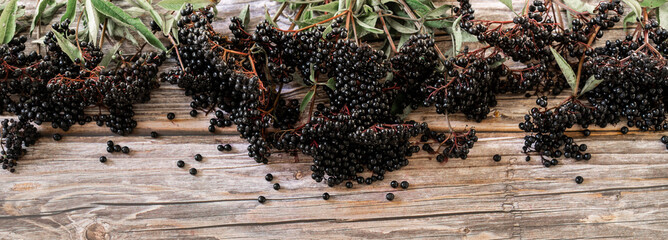 European black elderberry on a wooden background. (Sambucus nigra). 