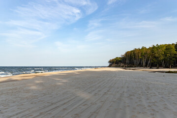 Wall Mural - The seaside with a sad empty beach in good sunny weather. Forest in the background.