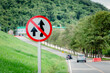 © Nanthicha Khamphumee - Do Not Overtake Traffic Sign. Road signs forbidden to overtake the mountain. Mountain road.