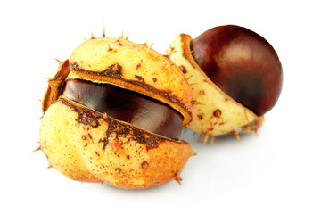 Wall Mural - Isolated fresh chestnuts on a white background. Fresh chestnuts in a peel isolated on a white background. Chestnut isolated on white background with shadow.