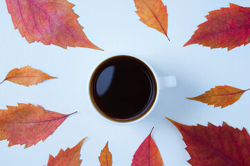 White cup with black coffee without foam. White background with a autumn leaves.