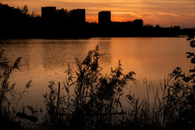 Silhouette Of Reeds At Sunset On The Ripples Of Lake Water Background With Urban Landscape At Horizon