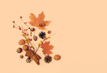 leaves, cones, nuts, cinnamon on yellow background. autumn composition. Fall season concept. thanksgiving and halloween holiday. flat lay, copy space