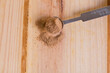 © Bea Rivero - Nutmeg powder in measuring spoon close up with wooden neutral background