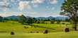© Gerry - Hay bales in pasture on horse farm in shadow of the Blue Ridge Mountains in central Virginia near Charlottesville.