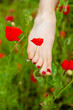 A girl runs barefoot across a poppy field. Red blooming poppy flowers and bare feet close-up