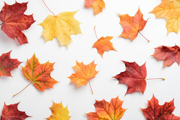 Autumn background. Pattern of colorful maple leaves on white table.