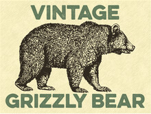 Vintage Retro Vector Art Of A Silhouette Bear