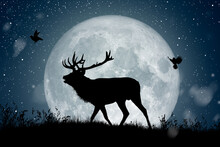 Silhouette Of Reindeer Standing On The Hill Under The Full Moon At Night Christmas While Two Birds Flying Around.