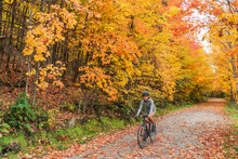 Autumn Biking Happy Woman Traveling On Road Bike Through Foliage Path In Nature Forest Outdoors. Canada Fall Travel Destination.