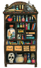 Witches Cupboard With Ancient Books, Potions, Scrolls, Owl And Skull. Hand Drawn Colored Pencils Illustration.