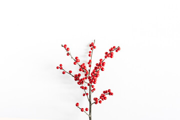 Wall Mural - Minimal seasonal composition. Pattern of branch with red berries on isolated white background. Christmas holidays, winter concept. Header, copy space.