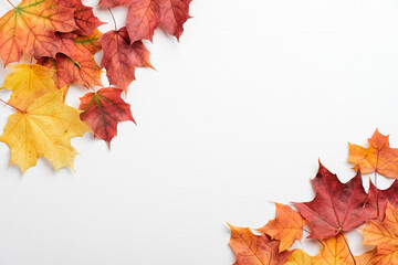 Wall Mural - Autumn frame border of red and yellow maple leaves on white table. Autumn background. Fall, thanksgiving, harvest concept.