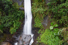 Waterfall And Green Vegetation