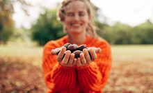 Image Of Smiling Young Woman Picks Chestnuts In Park. Beautiful Blonde Female Wearing An Orange Sweater Has Joyful Expression Resting At The Autumn Nature Background With Chestnuts In Hands.