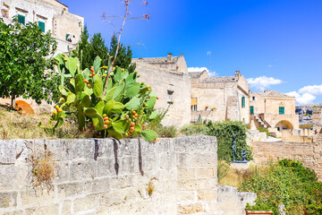 Wall Mural - Into the city of Matera, in Italy, with its typical white houses