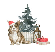 Watercolor Illustration With Cute Welsh Corgi Dog In Santa Hat With Christmas Tree, Lantern And Presents. Winter Illustration For Cards, Covers, New Years Promos