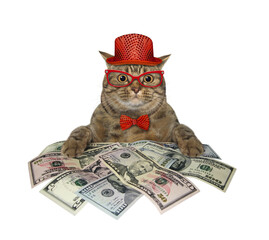 Wall Mural - The beige big eyed cat in a red bow tie and glasses is sitting near a pile of dollars. White background. Isolated.