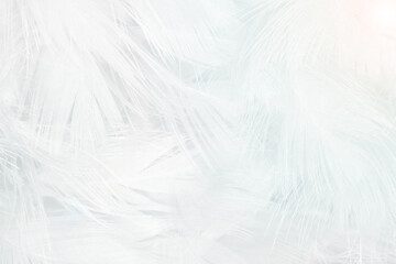 Beautiful white feather wooly pattern texture background