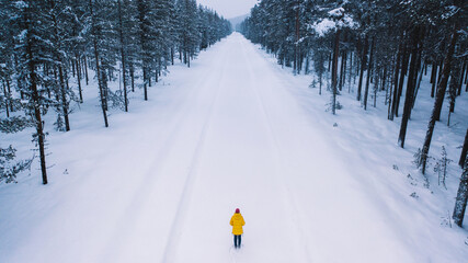 Bird's eye view, female tourist in yellow warm jacket enjoying winter in north country while running on snowy road surrounded by coniferous forest.