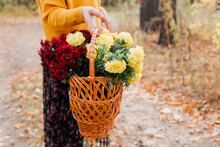 Woman Holds In Her Hand A Basket With Autumn Flowers In The Forest.