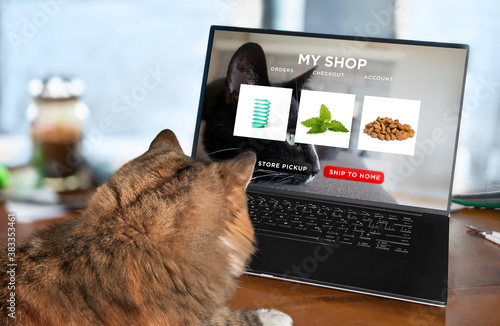Cat ordering food, toy and catnip by internet with a laptop for home delivery. Concept for pets using technology, ordering online or animals imitating humans. Selective focus with blurred background.