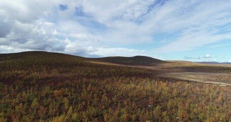 Wall Mural - Drone flight over mountain valley in autumn season. Flight over mountain hills. Blue sky with clouds. Kasivarsi Wilderness Area in golden autumn. Lapland.
