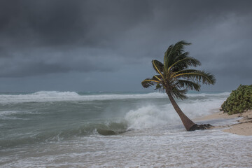 Hurricane Delta tearing up the coastline of Grand Cayman