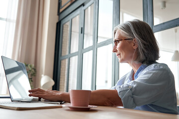 Wall Mural - smiling professional mature middle aged business woman using laptop computer sitting at workplace de