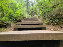Lynn Canyon Park Stairs, North Vancouver, British Columbia, Canada. Beautiful Wooden Path With Stairs Close Up