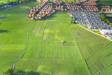 Wall Mural - housing subdivision or housing development. also call tract housing consist of house and constructio