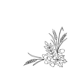 Wall Mural - The Natural design collection - corner element made of acorns, leaves and ears in - style of contoured doodles. Happy fall and thanksgiving