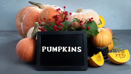 Wall Mural - Assortment of raw pumpkins on grey background