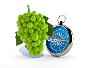 Canvas Print - Grape with compass