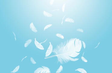 Group of a white bird feathers floating in the sky. Feather abstract freedom on a blue background.	