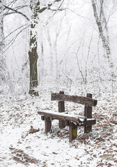 Wall Mural - Bench in winter in the forest