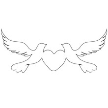 Beautiful Dove Bird With Heart Vector Illustration.